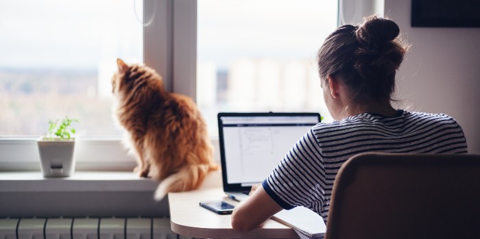 Dos and donts to investing